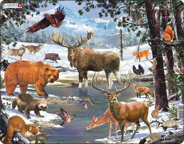 Canadian Animals 54 Piece Children's Educational Jigsaw Puzzle