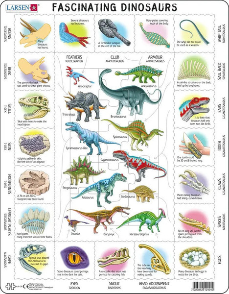 Fascinating Dinosaur 35 Piece Children's Educational Jigsaw Puzzle