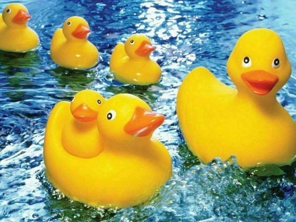 Rubber Duckies 60 Piece Jigsaw Puzzle for sale by Springbok Puzzles