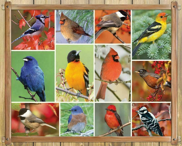 Songbirds 100 Piece Jigsaw Puzzle for sale by Springbok Puzzles