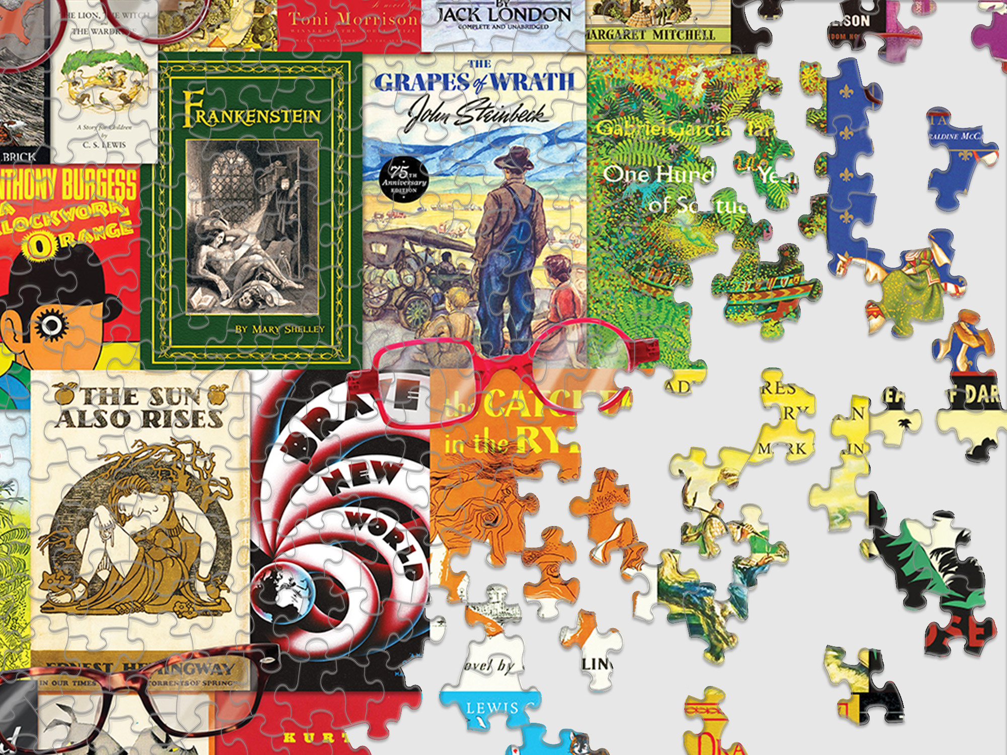 Nostalgic Novels 1000 Piece Jigsaw Puzzle