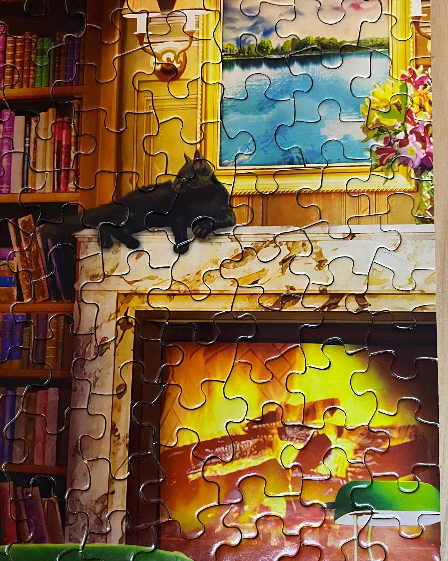 The Library 1000 Piece Jigsaw Puzzle