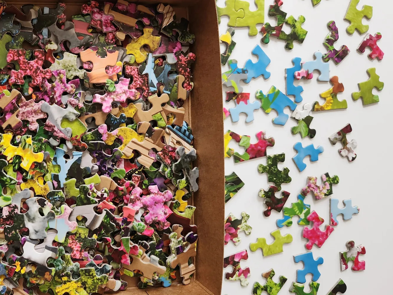 Beautiful Blossoms 500 Piece Jigsaw Puzzle