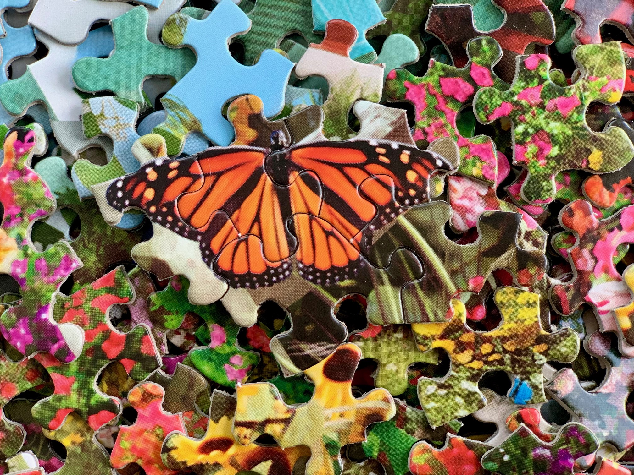 Silence of the Valley 500 Piece Jigsaw Puzzle