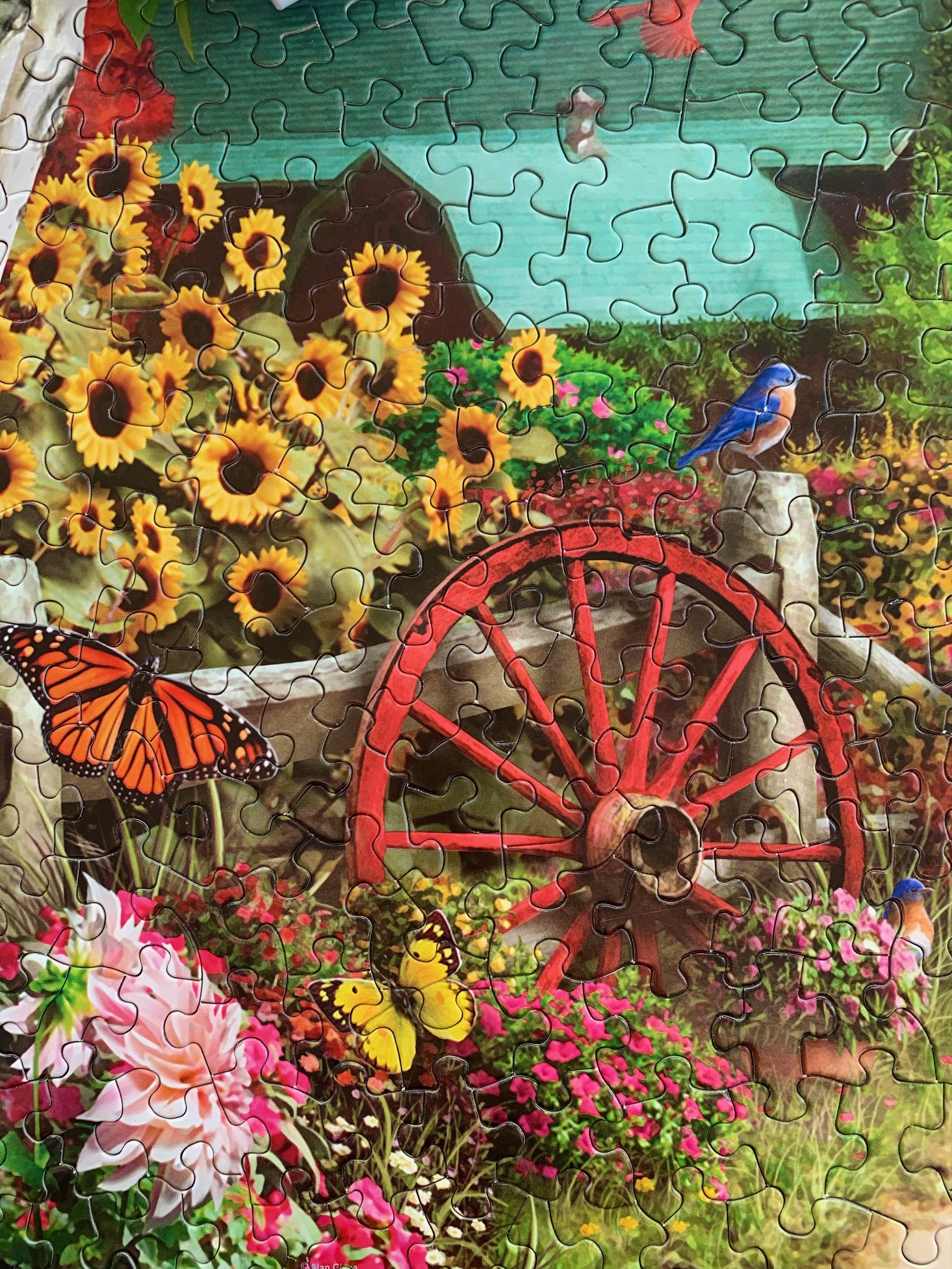 Silence of the Valley 500 Piece Jigsaw Puzzle