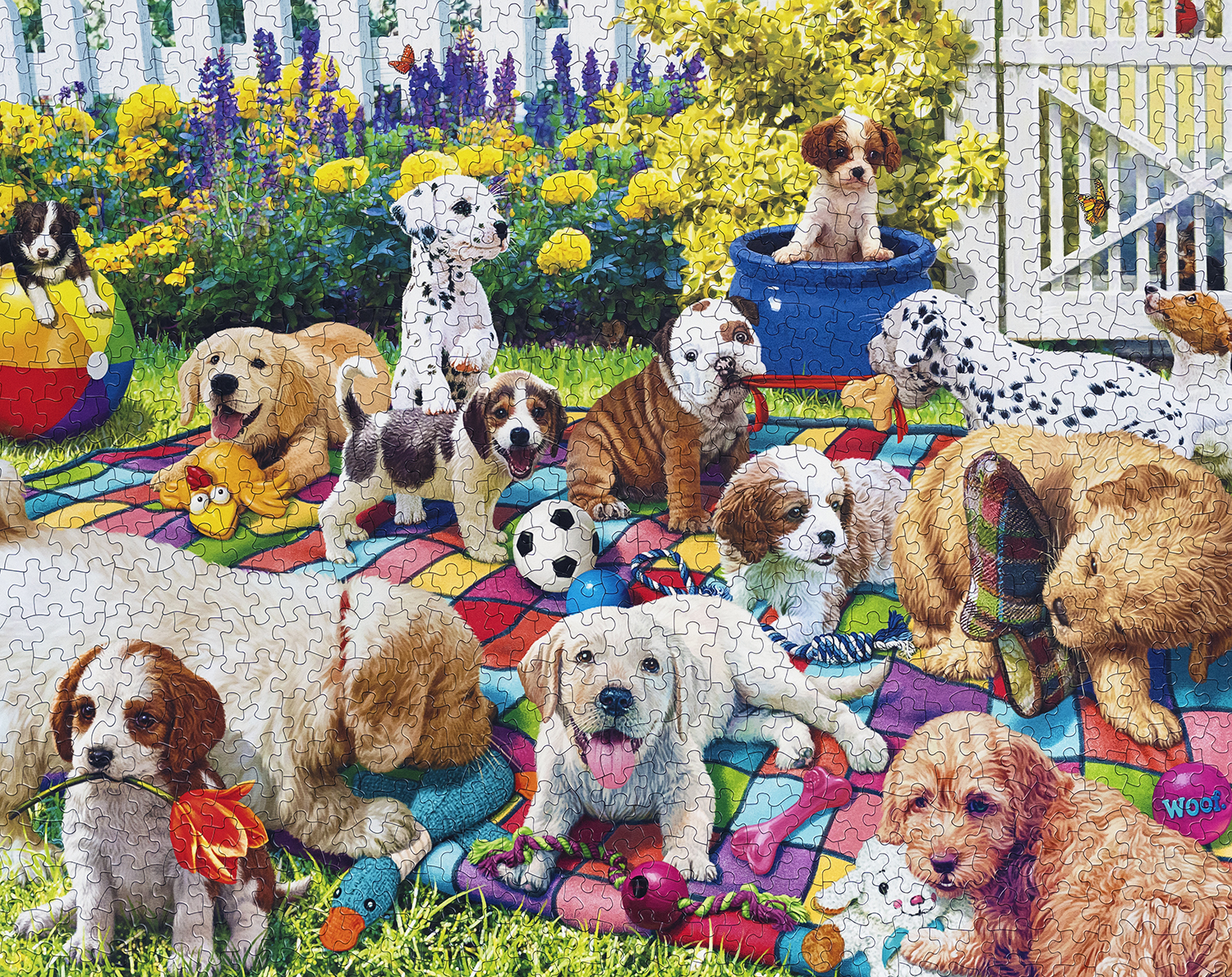 33-11219-PlayfulPupsOnParade-