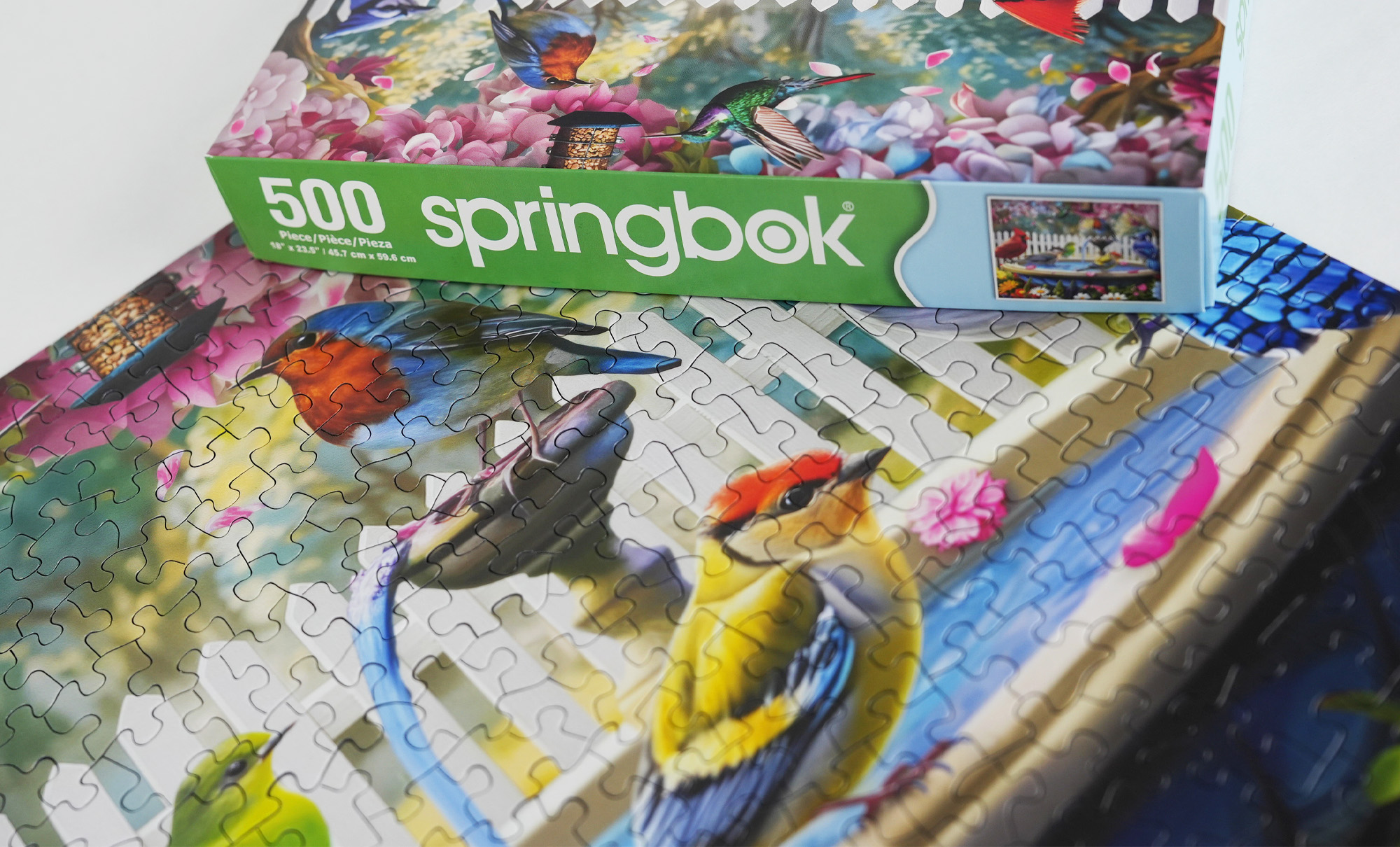 Springbok 500ピース ジグソーパズル バーズ オブ パラダイス Amazon.com: Springbok's 500 Piece Jigsaw Puzzle Birds of