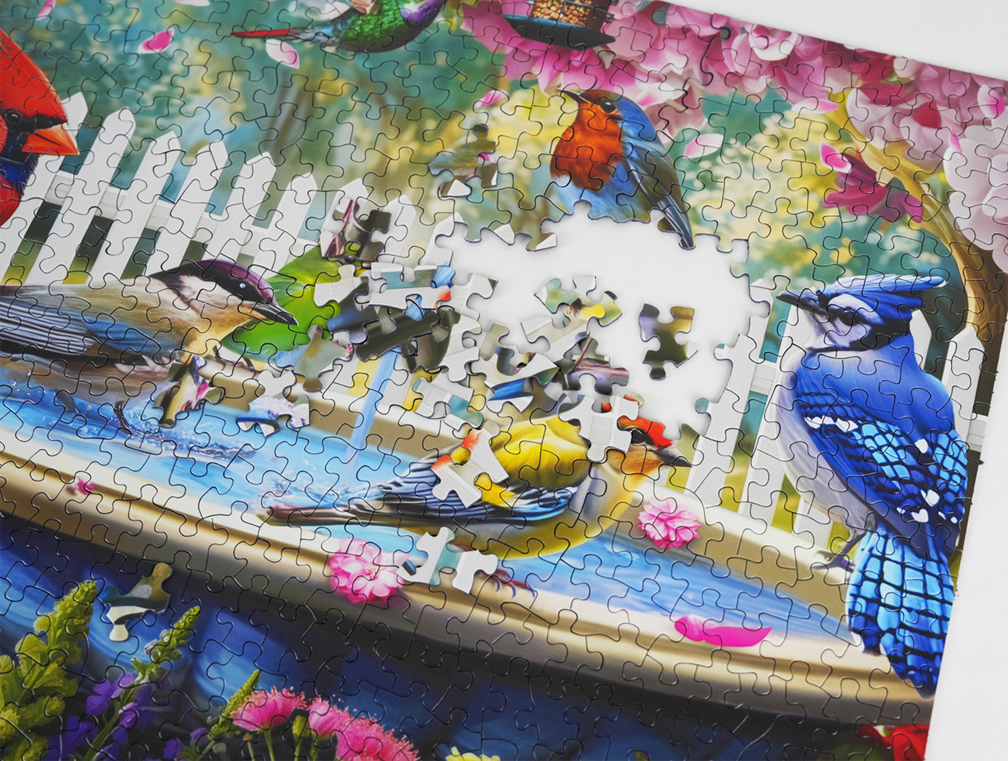 Springbok 500ピース ジグソーパズル バーズ オブ パラダイス Amazon.com: Springbok's 500 Piece Jigsaw Puzzle Birds of