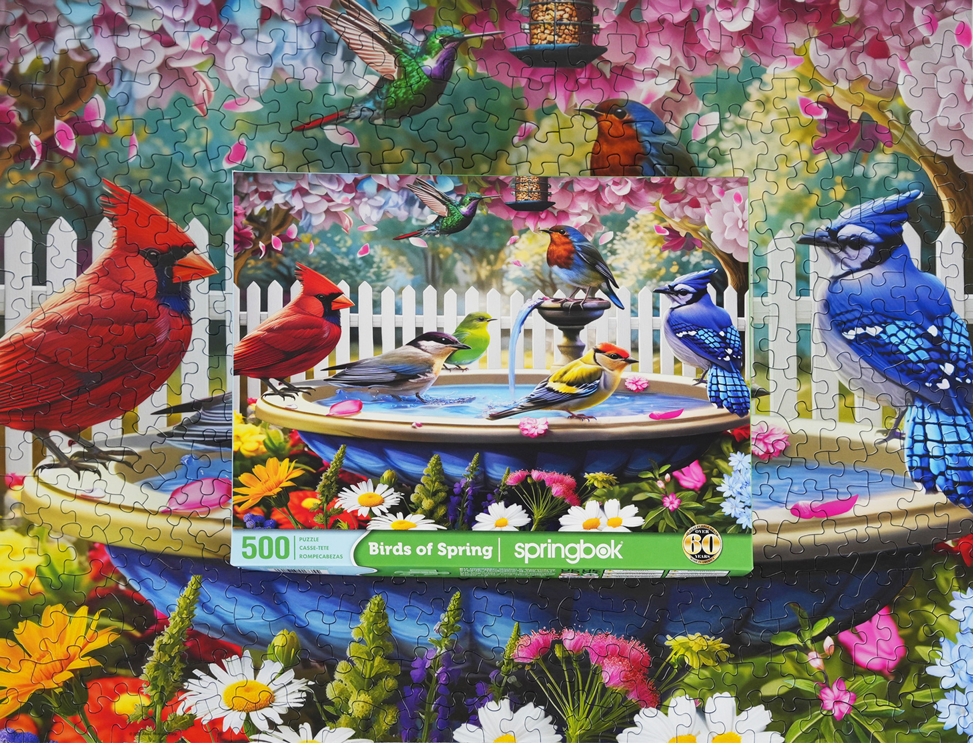Springbok 500ピース ジグソーパズル バーズ オブ パラダイス Birds of Paradise 500 Piece Jigsaw Puzzle