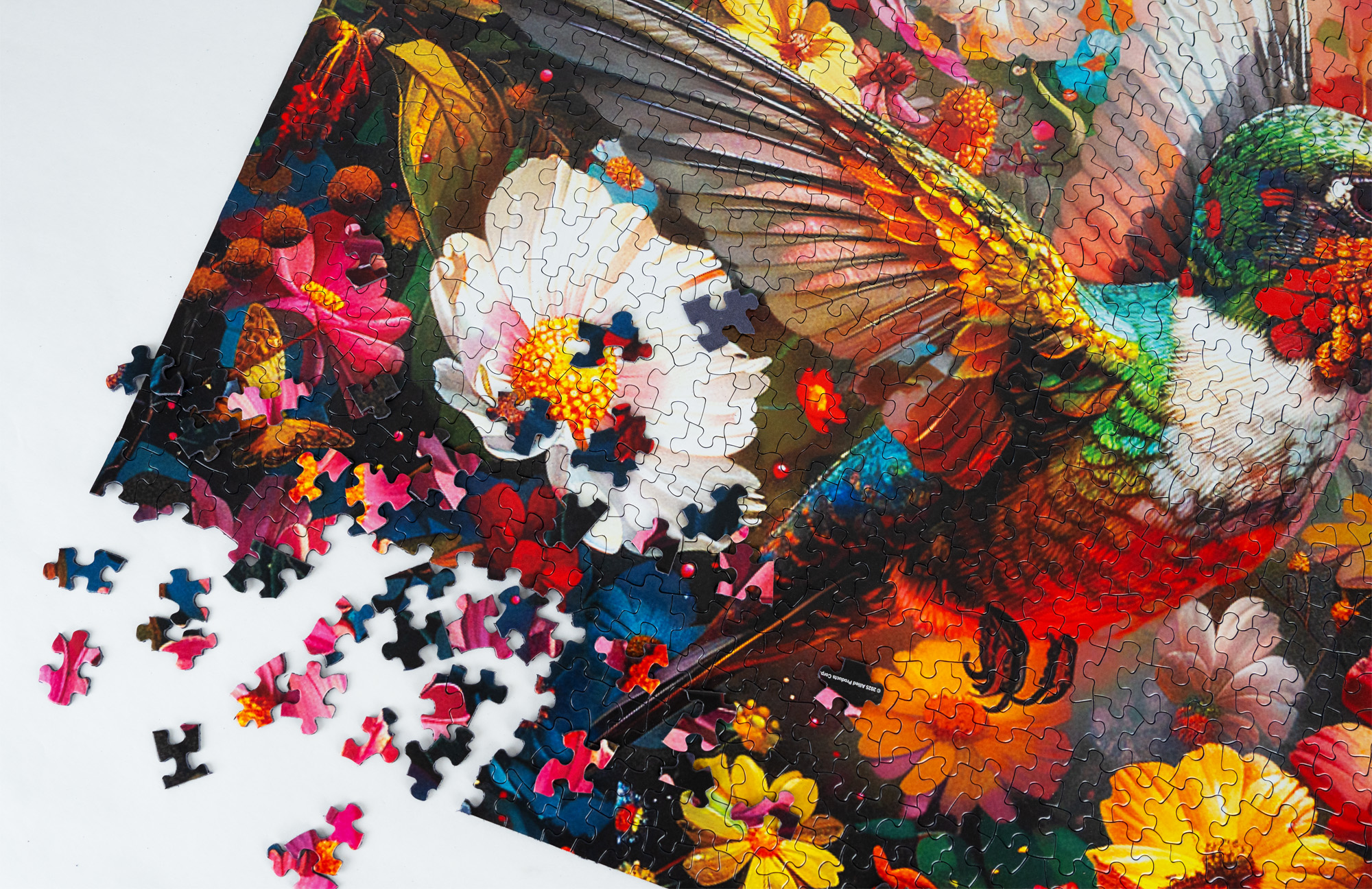 Springbokパズル – Songbirds – 1000ピース Amazon.com: Springbok's 1000 Piece Jigsaw Puzzle Songbirds