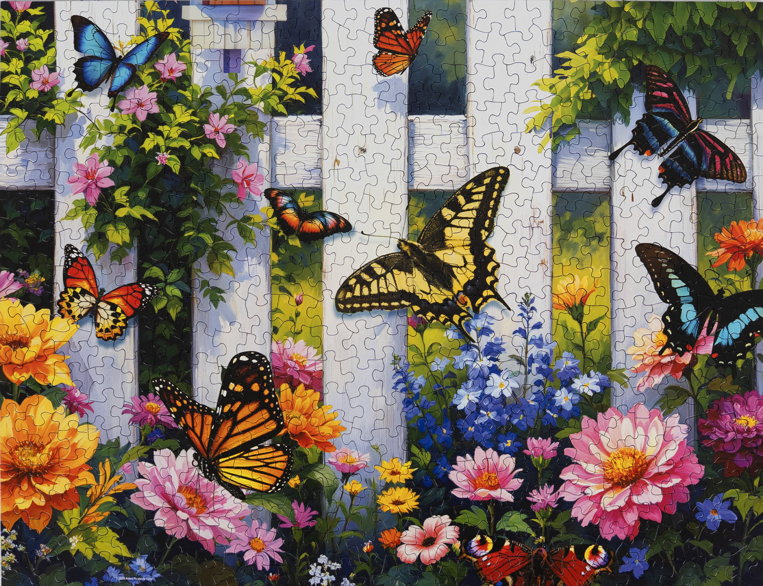 Springbok 500ピース ジグソーパズル バタフライフレンジー  蝶々 Amazon.co.jp: Springbok's 500 Piece Jigsaw Puzzle Butterfly