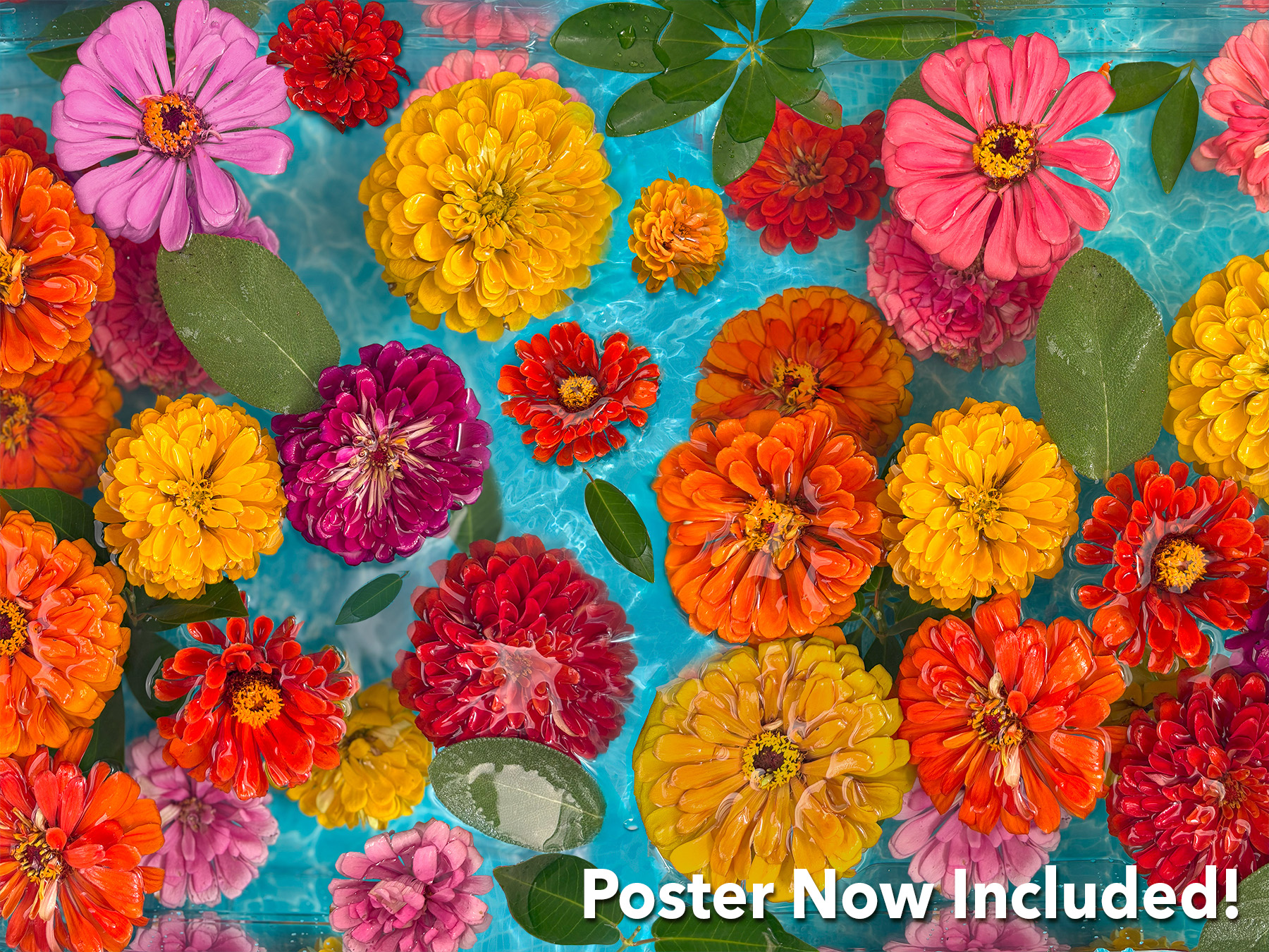 Floating Flowers 1000 Piece Jigsaw Puzzle