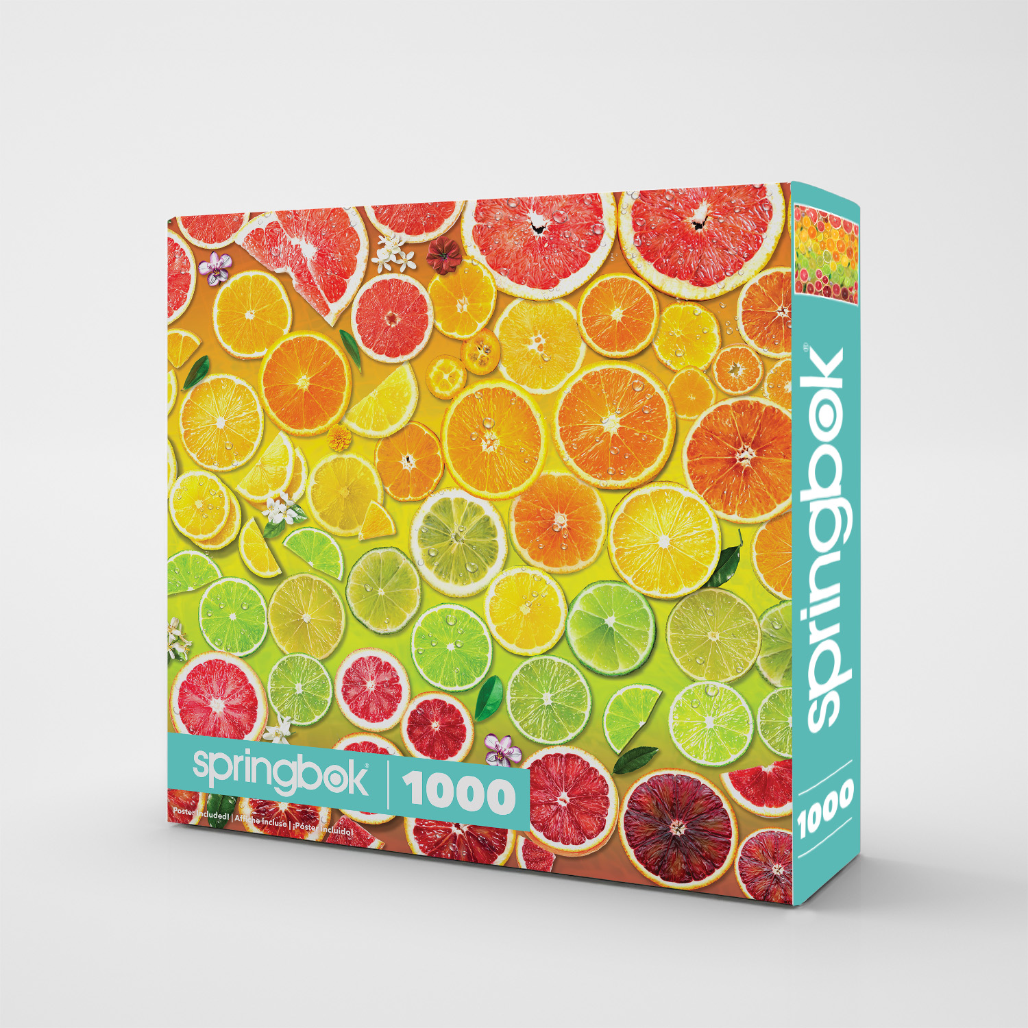 Citrus Rainbow 1000 Piece Jigsaw Puzzle