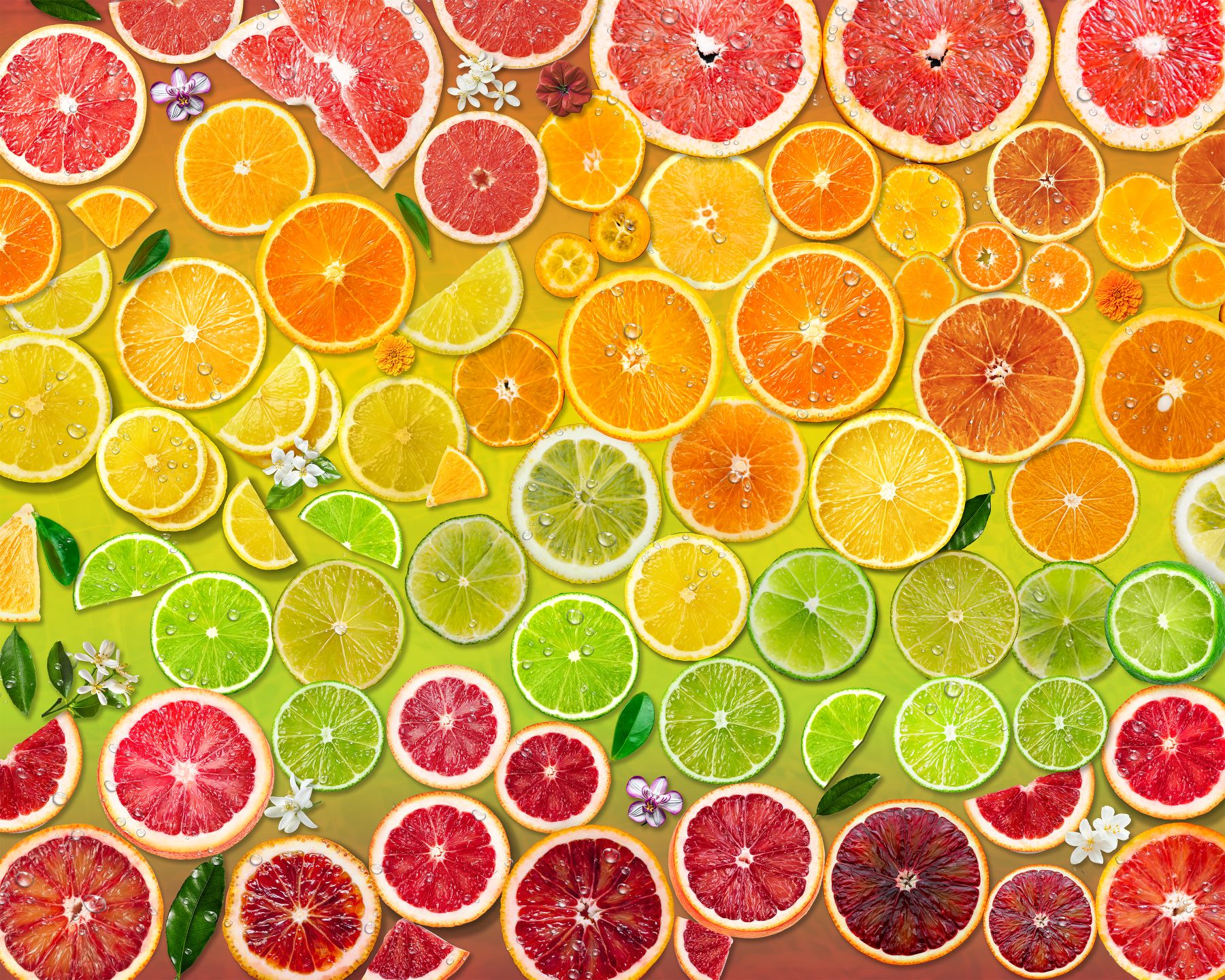 Citrus Rainbow 1000 Piece Jigsaw Puzzle