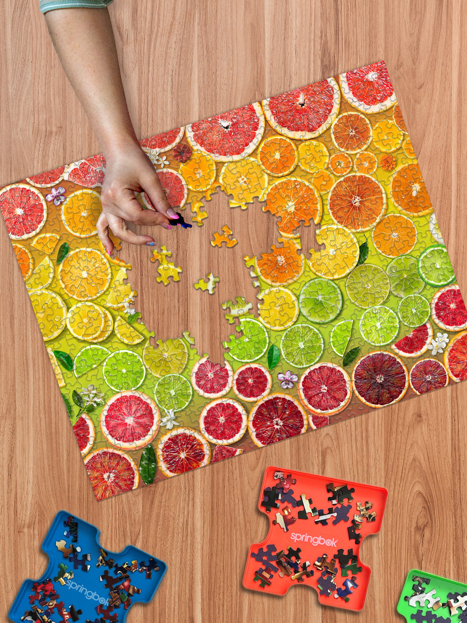 Citrus Rainbow 1000 Piece Jigsaw Puzzle