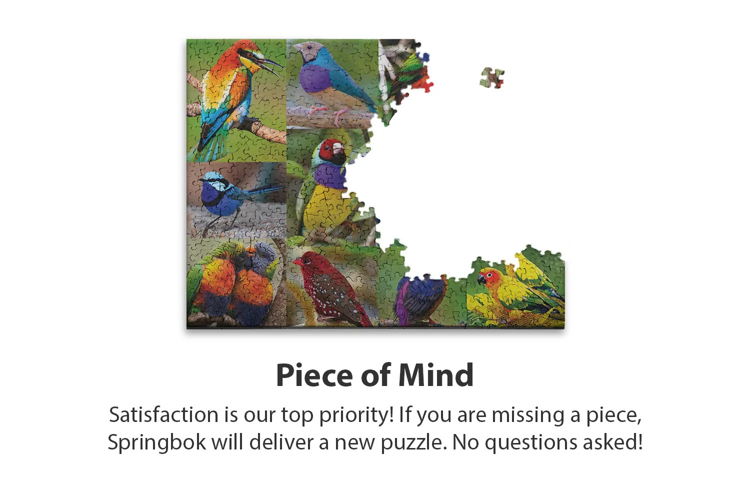 Springbok 500ピース ジグソーパズル バーズ オブ パラダイス Amazon.com: Springbok's 500 Piece Jigsaw Puzzle Birds of