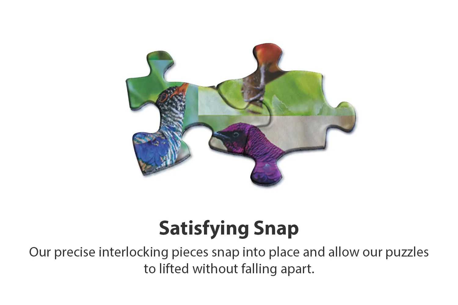 Birds of Paradise 500 Piece Jigsaw Puzzle