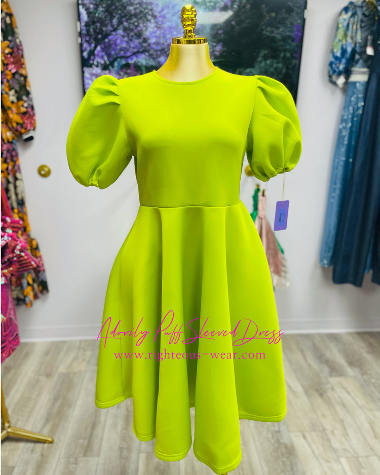 ADORILY PUFF SLEEVE DRESS  (SOLD OUT)