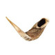 Rams Horn Shofar (21" -23")