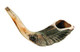 Rams Horn Shofar (12"-13")