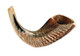 Rams Horn Shofar (8"-10")