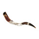 Silver-Plated "Blow the Trumpet in Zion" Yemenite Shofar