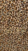 REFINED LEOPARD PRINT