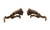 Earmor M16A-TW Rail Mount Kit for Earmor M31/M32 PLUS to for EXFIL® Helmet Rails (Team Wendy Helmet) - Coyote Brown Earmor M16A-TW Rail Mount Kit for Earmor M31/M32 PLUS to for EXFIL® Helmet Rails (Team Wendy Helmet) - Coyote Brown