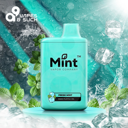 MINT by MNKE Bars Disposable Vape Comprehensive Review