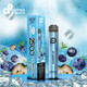 Posh Plus 5% Nic 2500 Puffs 6.5ml Disposable Vape (Tfn) - BLUEBERRY ICE