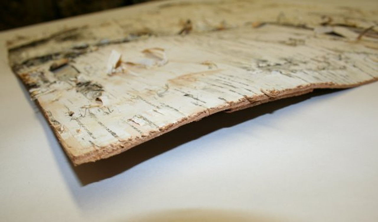 birch-bark-approx-12-x-12-2pk-birch-logs for Free Printable Birch Bark Paper BIRCH BARK (approx 12
