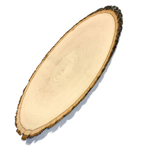 Wilson Basswood Elongated Round Slice  Wilson Basswood Elongated Round Slice