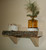 Basswood Barkside Shelf Kit