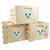 Pine Handle Crate Large (3 Pack)