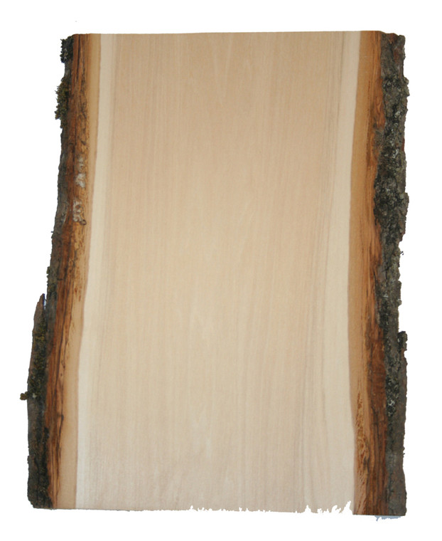  Artist Grade Basswood Plank 