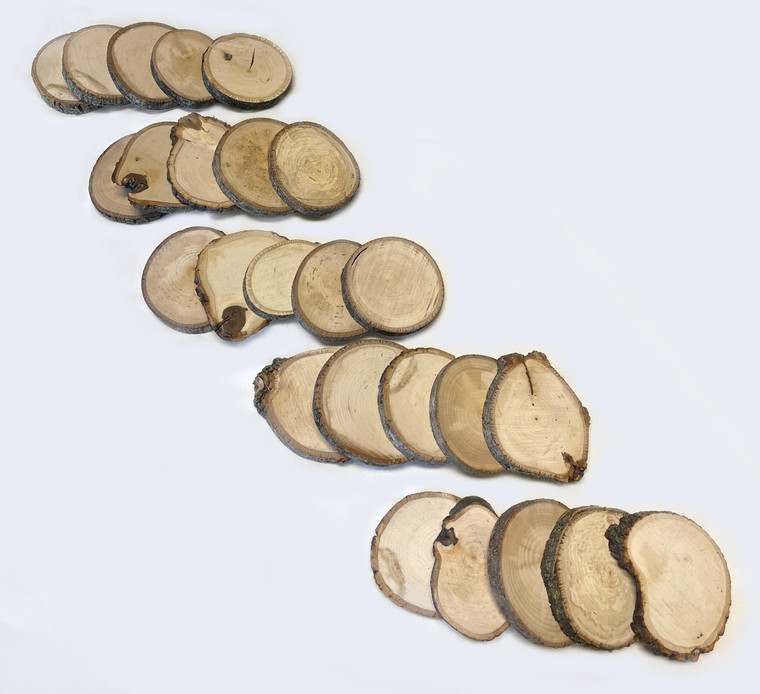 Basswood Coaster Seconds 25pk