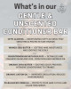 What's in the One Earth Gentle Unscented Conditioner Bar infographic