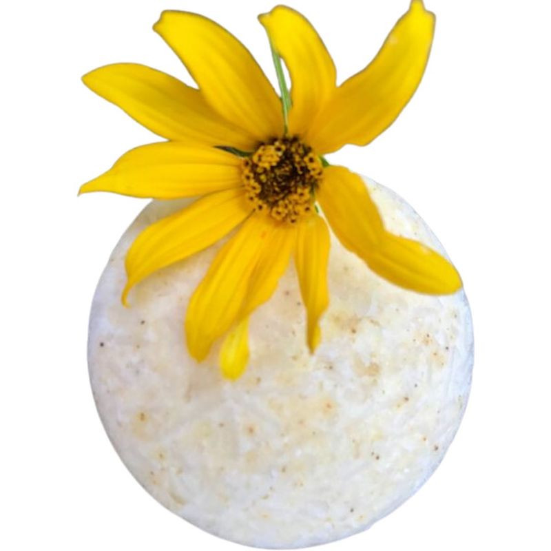 The Science Behind our Shampoo Bars The Science Behind our Shampoo Bars