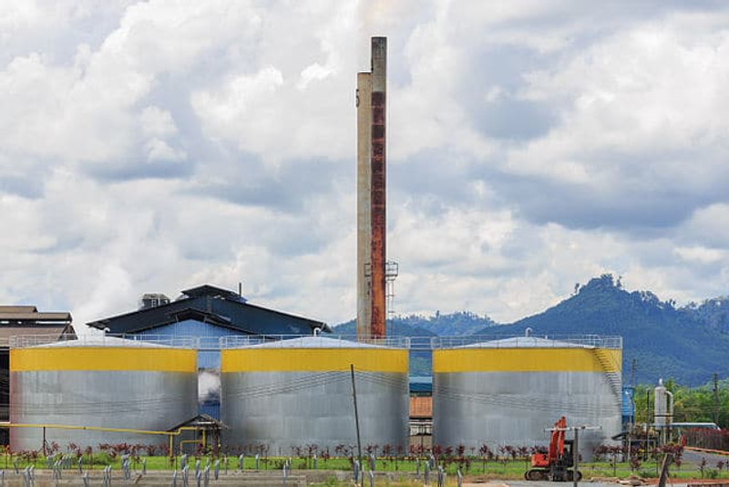 Palm Oil Production (Part 2), Challenges for Sustainability