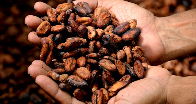 What is Fair Trade, and Does it Matter in Body Care?
