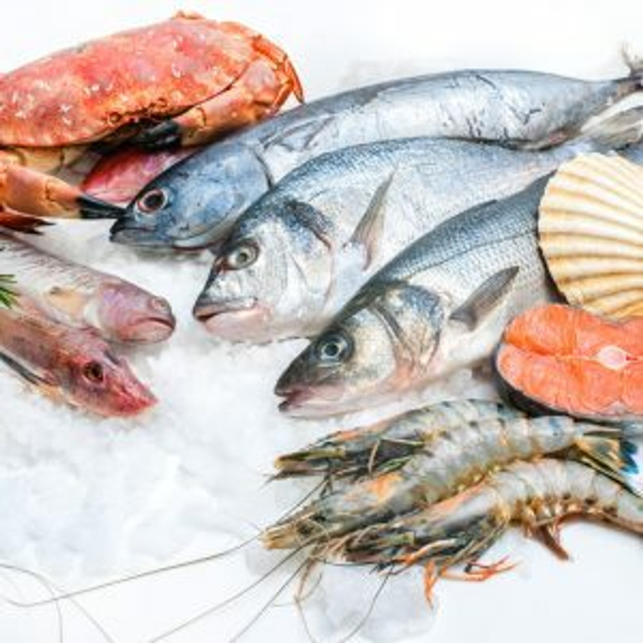 Seafood