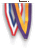 Neck Ribbon (Stock)