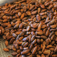 roasted cacao beans