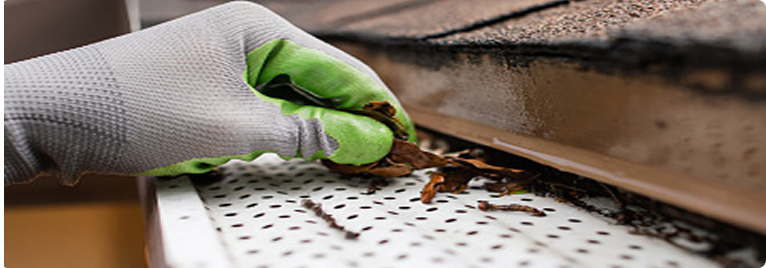 Gutter Guards