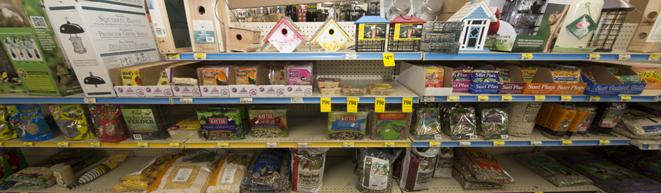 birdhouses.jpg