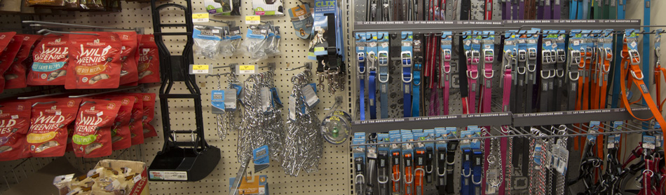 dog-leashes.jpg