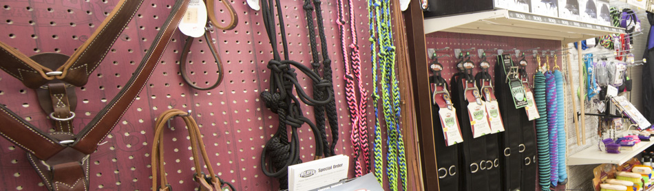 horse-leads.jpg