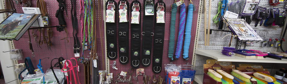 horsestuff2.jpg