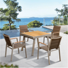 Nofi 5 Pieces Outdoor Dining Set Champagne - Series 3801