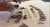 Highland Shuffleboard Highland Shuffleboard